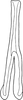 Connective on Exitianus nanus (Distant, 1908): Connective. (Observation).