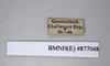 CollectionObject 1573257; a8d99f0d-b47d-470f-b691-ff7a457c7e76: Copyright NHM, London. Data labels, non-type. (CollectionObject).
