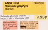 CollectionObject 1523729; d228cabd-fe4c-40ee-b581-141509ab95a0: labels (holotype). (CollectionObject).