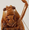 CollectionObject 1534700; 88b5736a-71c6-404c-acc1-c0f7b048c51c: female face (syntype of Mataeus longipennis). (CollectionObject).