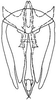 Subgenital plate: !! display not done !! on Arundanus marginellus DeLong, 1935: genital capsule, ventrally. (Observation).