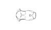 Zygoclistron trachystictum Rehn, 1905: Fig. 50. male, sternum. (Otu).