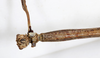 CollectionObject 1559001; 11854f69-fd51-4979-b3b0-4565cb6cf245: copyright MHNG Geneva. female: head & part thorax, ventral view (holotype). (CollectionObject).