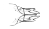 Maeacris aptera Ronderos, 1983: Fig. 13. female abdomen tip, ventral view. (Otu).