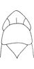 Head: !! display not done !! on Dikrella (Dikrella) cruentata (Gillette, 1898): Head and thorax. (Observation).