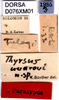 CollectionObject 1505048; 7cf2c0c6-80c2-485a-a582-4ab7749e6481: labels (paratype). (CollectionObject).