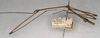 CollectionObject 1557330; NMW 660, 71f8f0ba-299e-4403-a70f-bd7096bbd529: copyright NMW, Vienna. male, lateral view (holotype). (CollectionObject).