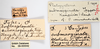 CollectionObject 1863289; e0b963a9-9974-4d7b-8ac4-42c3d540367c: (CollectionObject).