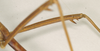 CollectionObject 1557340; NHMUK(SF IMPORT DUPLICATE) 844510, 40a27b64-85f0-42ed-8a84-f6be54b4b2c5: copyright Natural History Museum, London. male of synonym Bacteria crudelis: hind femora, lateral view (holotype). (CollectionObject).