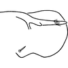 Pygofer, lateral view: Pygofer, lateral view. (Observation).