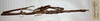 CollectionObject 1558556; 2568de82-8238-4c58-b7bb-75a2182d956e: copyright MHNG Geneva. female (holotype). (CollectionObject).