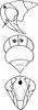 Head: Head, pro-, and mesothorax. (Observation).