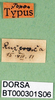 labels. Depicts CollectionObject 1502702; 5479f073-3cdd-4c64-929a-d8cf2028e1ae, a CollectionObject.