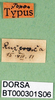 CollectionObject 1502702; 5479f073-3cdd-4c64-929a-d8cf2028e1ae: labels. (CollectionObject).