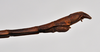 CollectionObject 1558564; 3ae685c8-f1c6-4bd0-85f7-d0b8fa72a781: copyright NTUC. male: end of abdomen, lateral view (syntype). (CollectionObject).;CollectionObject 1558565; b09dd22e-7f33-4771-b1d9-24d893a97422: copyright NTUC. male: end of abdomen, lateral view (syntype). (CollectionObject).