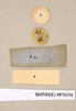 Monastria biguttata (Thunberg, 1826): Copyright Natural History Museum, London. Labels from holotype (adult male) in BM(NH). Underside. (Otu).