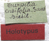 CollectionObject 1505870; e7a7707e-659d-44be-866c-bd957e5e5b60: labels (holotype). (CollectionObject).