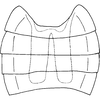 Abdomen, sternal apodemes, ventral view on Eurhadina (Singhardina) rubrivittata Chiang, Hsu & Knight, 1989: Abdomen, sternal apodemes, ventral view. (Observation).