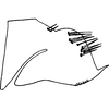 Pygofer, lateral view on Colladonus eburatus (Van Duzee, 1889): (Observation).