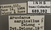 Other: !! display not done !! on Arundanus marginellus DeLong, 1935: Labels. (Observation).