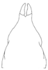 Callimenellus maculatus Gorochov & Voltshenkova, 2005: Fig. 66. male subgenital plate. (Otu).