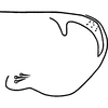 Pygofer, lateral view: !! display not done !! on Eratoneura unca (Knull, 1954): Pygofer, lateral view. (Observation).