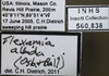 Other: Labels. Labels for dorsal, lateral and face images. (Observation).