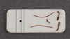 CollectionObject 1597768; ZMUH ZMH 831021, e7812e45-1f87-4cac-9b99-0a26b54dd061: broken antennae and tarsi. (CollectionObject).