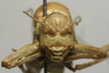 CollectionObject 1535225; 7c385764-8742-4437-aa9a-9a6da9497693: male, frontal view (syntype). (CollectionObject).