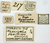 CollectionObject 1577260; OUM 715 1/2, 2bbd37a2-3569-4adf-a8ca-fbdd2bac5a8f: labels (syntype). (CollectionObject).