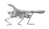 Holocerus lucifer (Serville, 1838): Plate 19, Fig. 3 (after type). male habitus (H. taurus, body length 14.2 mm, pronotum 20 mm, hind femur 9 mm). (Otu).
