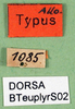 CollectionObject 1502391; 6d5cff1b-04b8-4489-9272-e3b005763b04: labels. (CollectionObject).