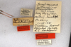 CollectionObject 1594439; 5cec1e40-aed5-4c36-88dd-90e668c48693: labels (topotype). (CollectionObject).