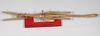 CollectionObject 1576633; def7034e-dae9-4e63-b81f-03ebf7d0c945: copyright FSCA. male (paratype). (CollectionObject).