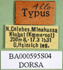CollectionObject 1576309; fca9b1b6-1751-4f21-a4f2-7769cc4279ed: labels (paratype). (CollectionObject).