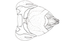 Dichroplus misionensis Carbonell, 1968: Fig. 89. epiphallus, ectophallus and aedeagus apex, dorsal view. (Otu).