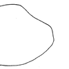 Pygofer, lateral view on Coarctana serpenta (DeLong, 1980): Male: apical portion of pygofer, lateral view. (Observation).