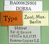 labels (syntype). Depicts CollectionObject 1500311; 1ed947c7-34b1-4192-a193-64f6bd693138, a CollectionObject.
