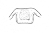 Ceuthophilus (Geotettix) alpinus Scudder, 1894: Fig. 668. male epiproct. (Otu).