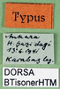 CollectionObject 1500642; 7e59d88b-8259-46e5-840b-6ba51e5ef580, DORSA BTisonerHTM: labels (holotype). (CollectionObject).