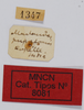 CollectionObject 1535442; 826620dc-64e4-409f-ad73-addde4211633: labels (holotype). (CollectionObject).