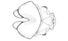 Enodisomacris curtipennis Cigliano, 1989: Fig. 222. cingulum and endophallus, dorsal view. (Otu).