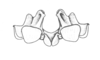 Pseudoscopas montanus Ronderos, 1987: Fig. F. epiphallus, anterior view. (Otu).