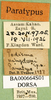 CollectionObject 1579145; 093a3960-06a3-42b9-8e64-e62d509db906: labels (paratype). (CollectionObject).