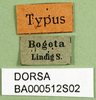 CollectionObject 1502101; aad3db54-a143-4e32-99ea-df6a7ebd3c3f: labels (syntype). (CollectionObject).