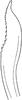 Pygofer ventral appendages, ventral view: Pygofer ventral appendage, ventral view. (Observation).