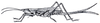 Bucrates malivolans (Scudder, 1878): Fig. 178 (after R. & H.). short-winged female (ovipositor 37-38.5 mm). (Otu).