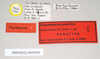 CollectionObject 1563681; 7e90f1ec-6ce5-46ac-907f-e9c288413e4d: copyright Natural History Museum, London. female, data labels (paratype). (CollectionObject).;CollectionObject 1563682; 79e6268e-5a54-455c-a2cd-6d34daaf9310: copyright Natural History Museum, London. female, data labels (paratype). (CollectionObject).