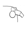 Phaneroptila insularis Uvarov, 1957: Fig. 6. male vertex (Phaneroptila insularis). (Otu).