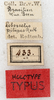 CollectionObject 1531627; 7f91883d-5c6a-473a-8ec2-8d3260466103: labels (holotype). (CollectionObject).